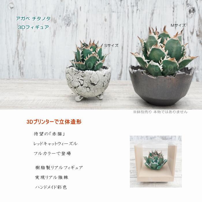 フェイクグリーン 3D フィギュア アガベ チタノタ レッドキャット
