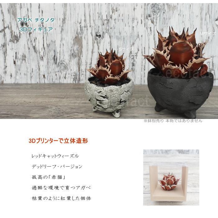 フェイクグリーン 3D フィギュア アガベ チタノタ レッドキャット