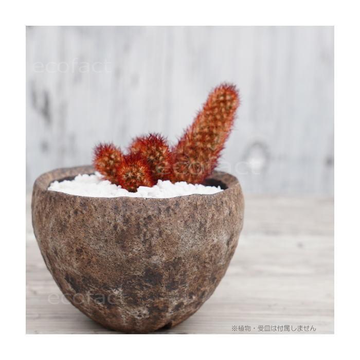 陶器鉢 植木鉢 ミニポット 底穴あり BUNGA POT ムーン（小） φ10.5cm