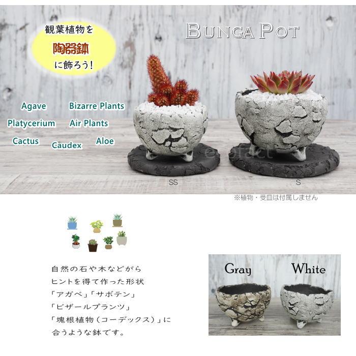 陶器鉢と飾り石３つ「アレンジ自在で素敵」インポート物値下 陶器鉢 植木鉢 ミニポット 底穴あり BUNGA POT エッグS (ホワイト