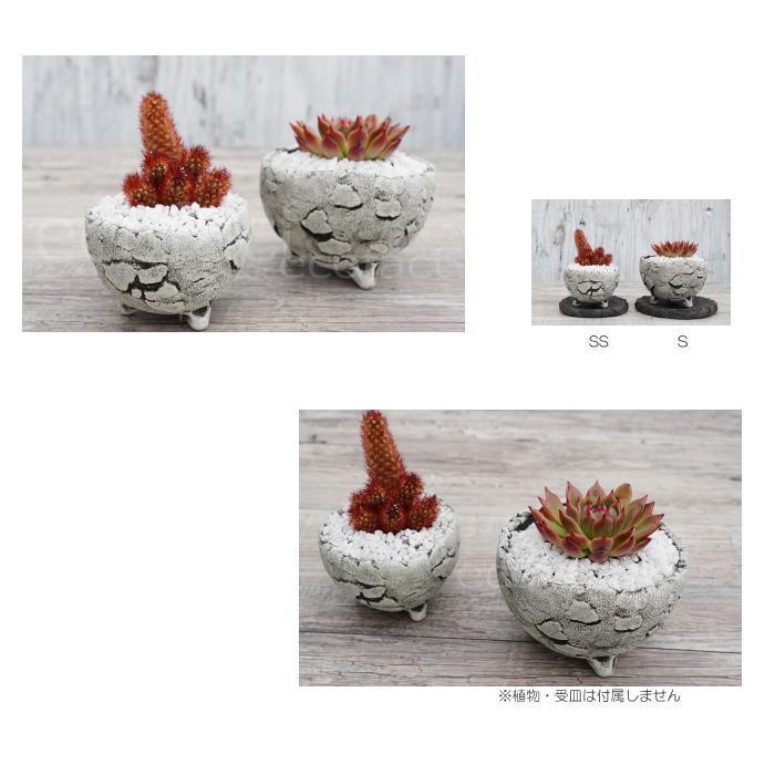 陶器鉢 植木鉢 ミニポット 底穴あり BUNGA POT エッグS (ホワイト