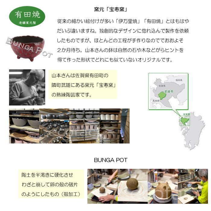 陶器鉢 植木鉢 ミニポット 底穴あり BUNGA POT エッグS (ホワイト