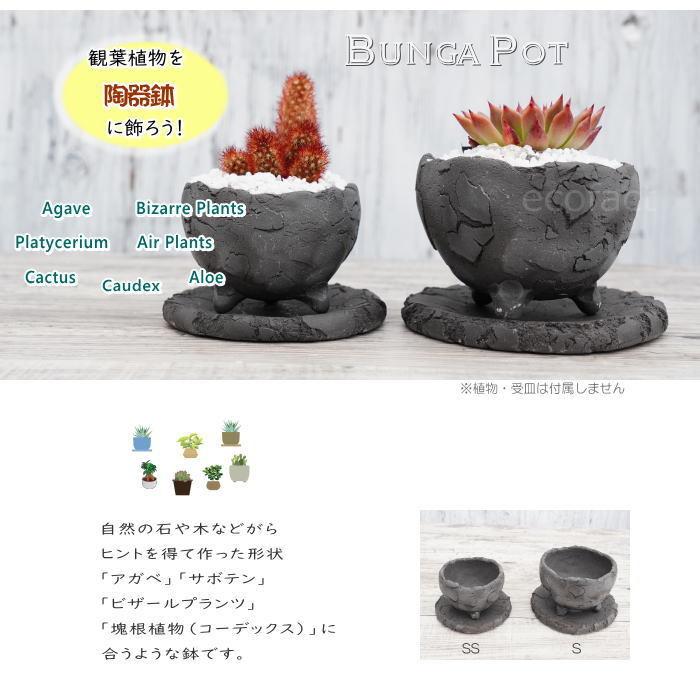 陶器鉢 植木鉢 ミニポット 底穴あり BUNGA POT エッグ（SS）黒