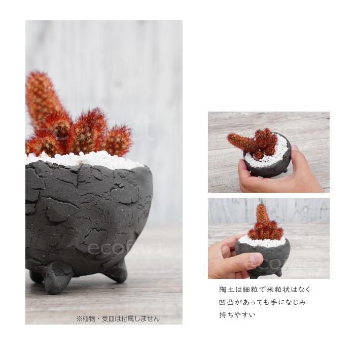 陶器鉢 植木鉢 ミニポット 底穴あり BUNGA POT エッグ（SS）黒