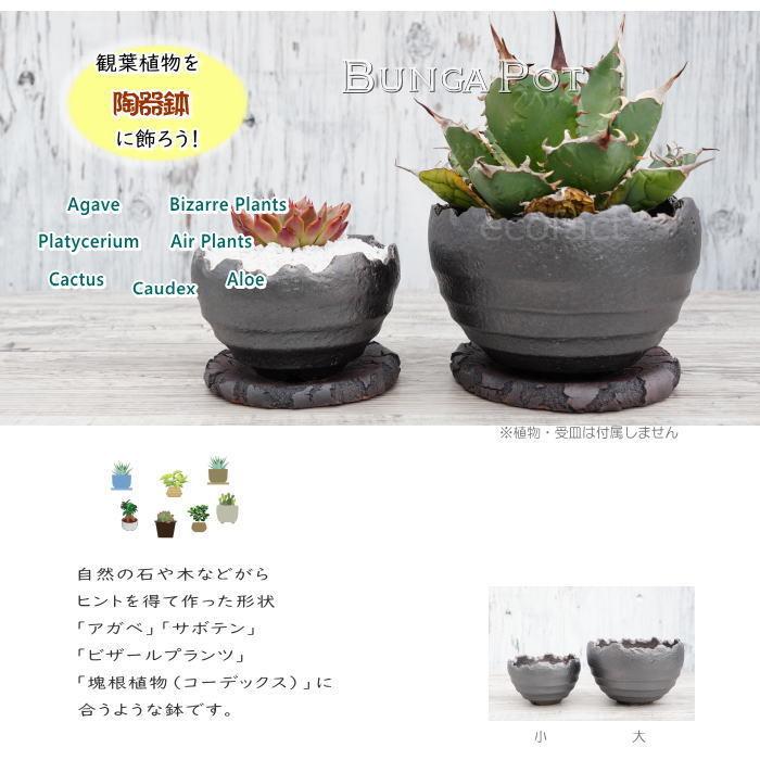 木製の花器(底に穴あり) 植木鉢 おしゃれ 室内 木製 ムクカップ 1419 底穴 あり 受け皿付き ワ