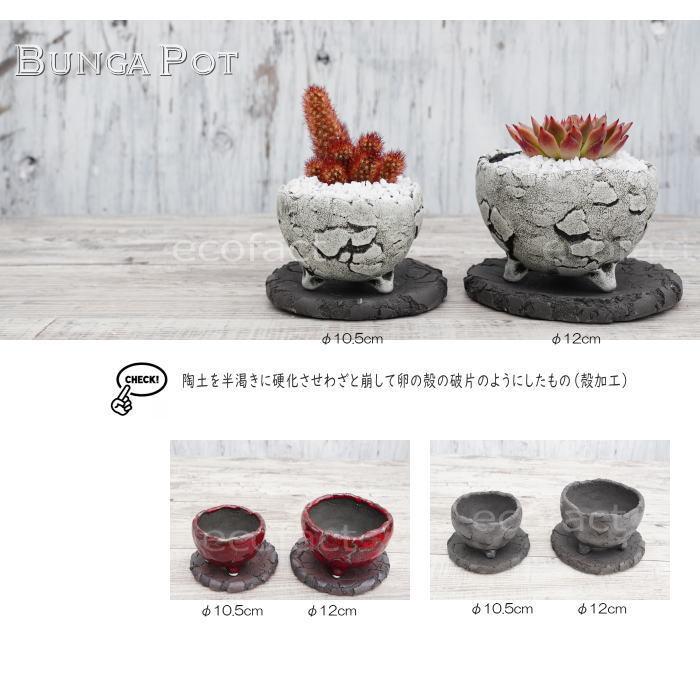 鉢皿 鉢木鉢 受け皿 ソーサー 陶器 日本製 有田焼 丸型 受皿 黒
