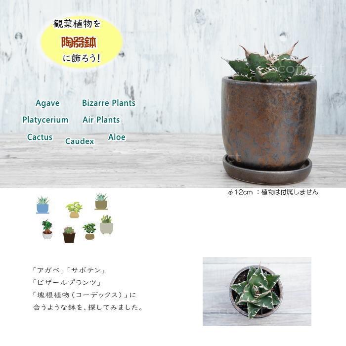 陶器鉢 植木鉢 ミニポット 皿付 ソルポットS ブロンズ φ12cm