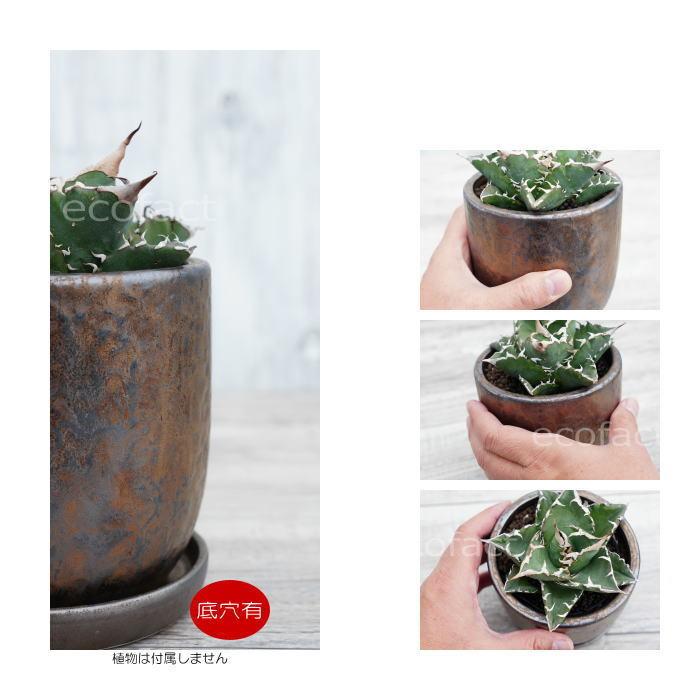 陶器鉢 植木鉢 ミニポット 皿付 ソルポットS ブロンズ φ12cm