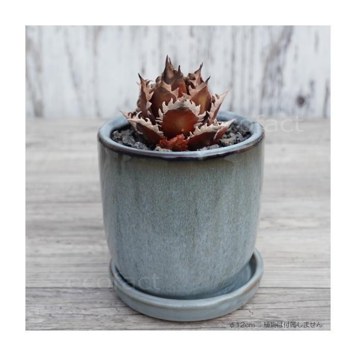 陶器鉢 植木鉢 ミニポット 皿付 ソルポットS ブルー φ12cm プランター