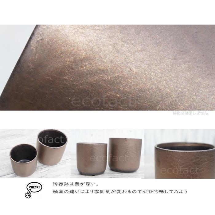 陶器鉢 植木鉢 ミニポット 皿付 みやび M 筒型 ブロンズ φ12cm 国産鉢