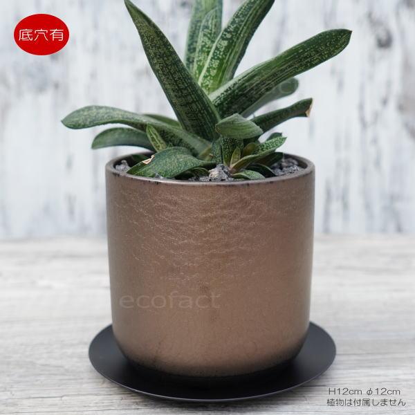 陶器鉢 植木鉢 ミニポット 皿付 みやび M 筒型 ブロンズ φ12cm 国産鉢