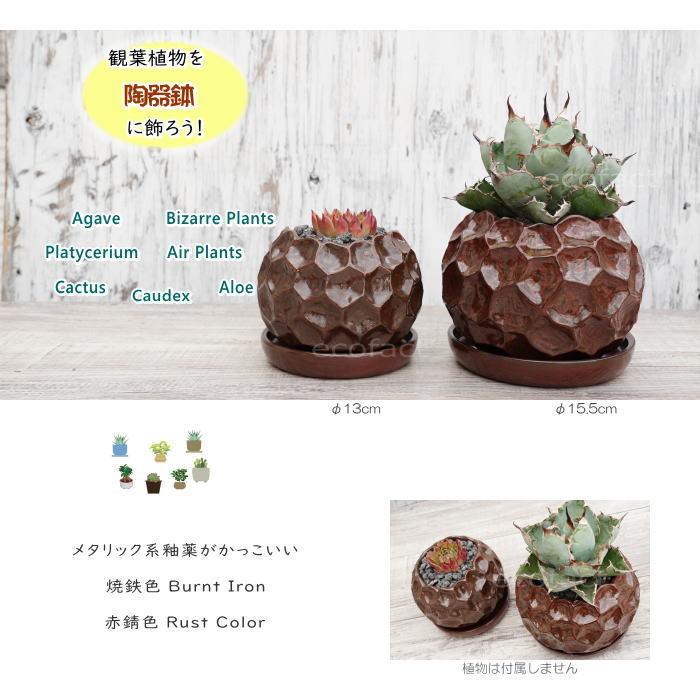 陶器鉢５点まとめ売り 02037f.jpg