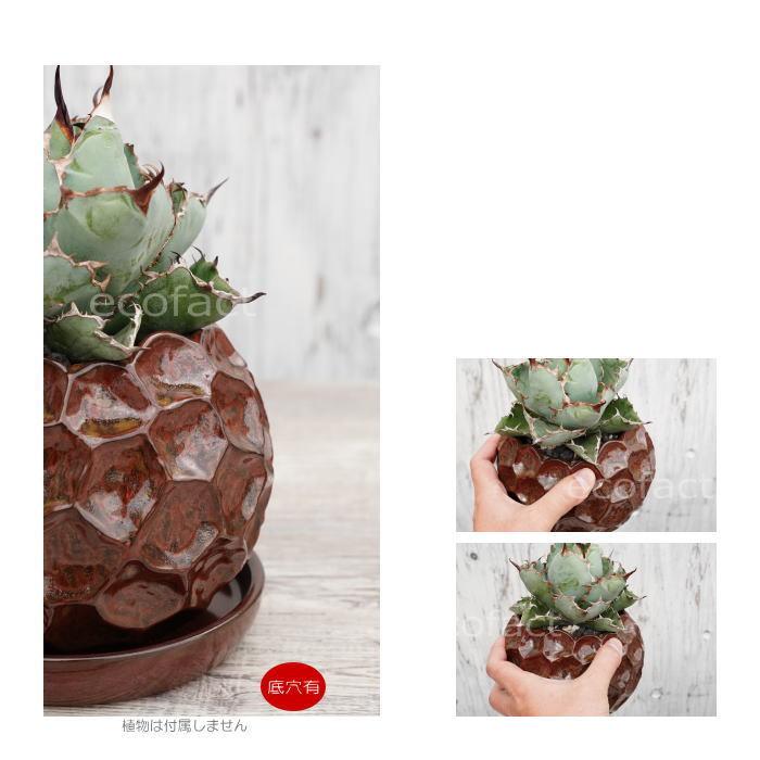陶器鉢 植木鉢 ミニポット 皿付 ソルロックM ラスト（赤錆色）φ15.5cm