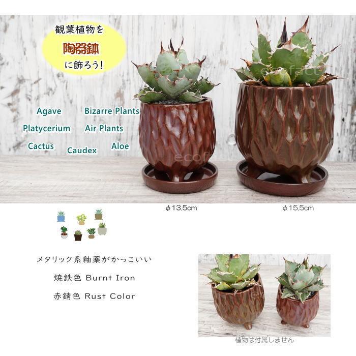 陶器鉢 植木鉢 ミニポット 皿付 ソルキコルS ラスト（赤錆色） φ13.5cm