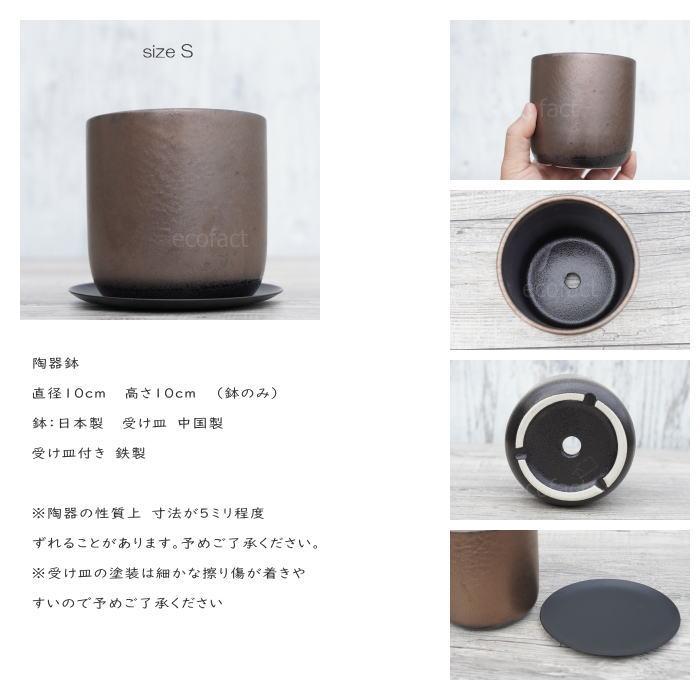 陶器鉢 植木鉢 ミニポット 皿付 みやび S 筒型 ブロンズ φ10cm 国産鉢