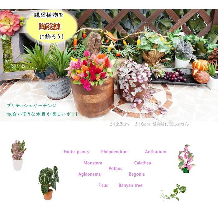 ブリックカップ SS 木製 鉢 鉢カバー 植木鉢 ミニポット 底穴無し