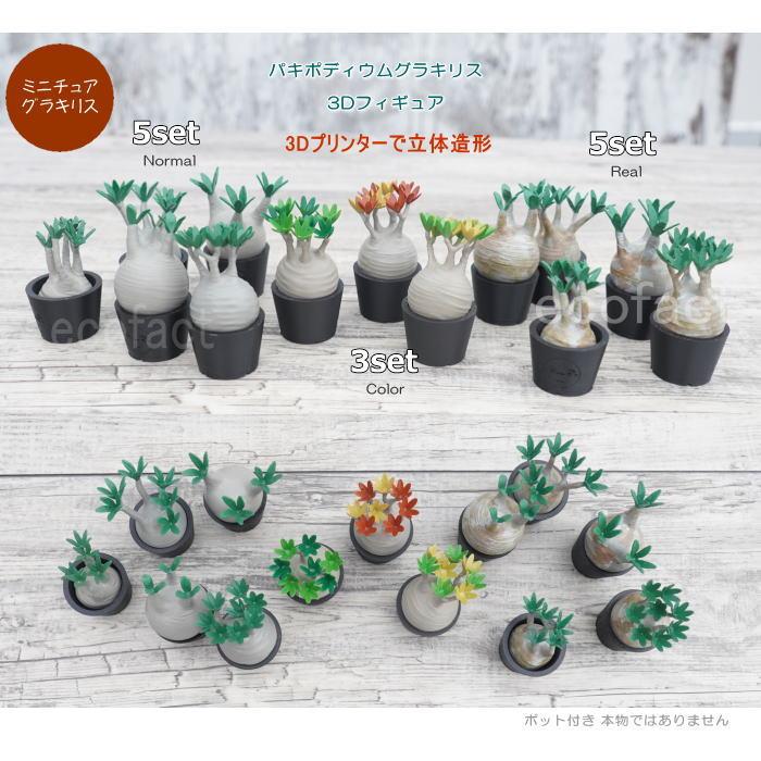 3D フィギュア ミニチュア 5セットリアル グラキリス パキポディウム