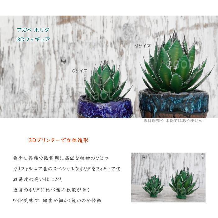 植物アガベ ホリダ 希少な球体タイプ（コレクション整理のため出品） フェイクグリーン 3D フィギュア アガベ ホリダ カリフォルニア S