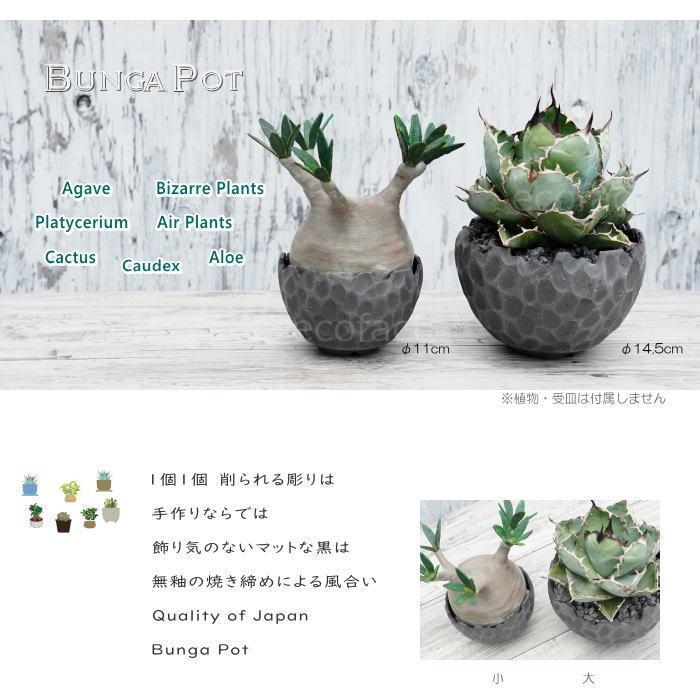 源右衛門窯　鉢　直径約20センチ　高さ約6センチ　木箱入り Diy 工具 有田焼 植木鉢 源右衛門窯 鉢 直径約20センチ 高さ約6センチ