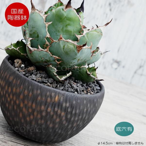 陶器鉢 植木鉢 ミニポット 底穴あり BUNGA POT カービング 金彩（大） φ14.5cm おしゃれ かわいい プランター 宝寿窯 有田焼 園芸鉢 観葉植物