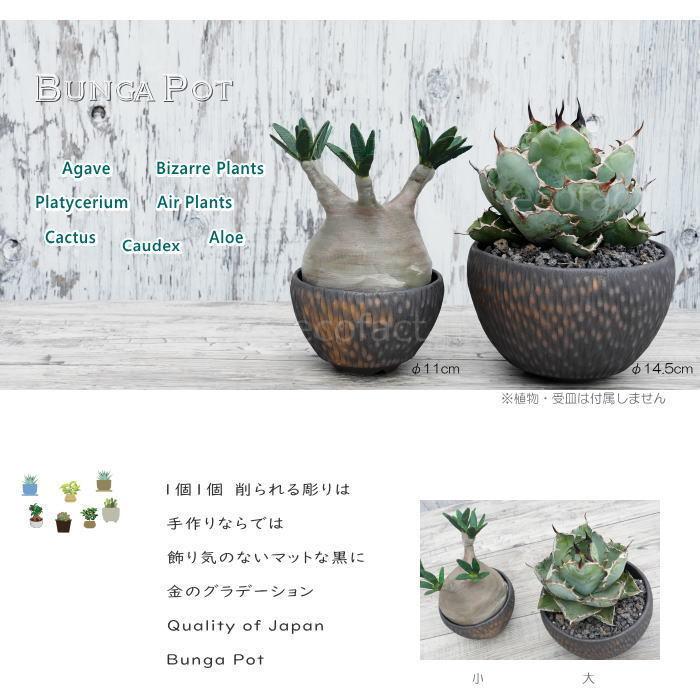 陶器鉢 植木鉢 ミニポット 底穴あり BUNGA POT カービング 金彩（大