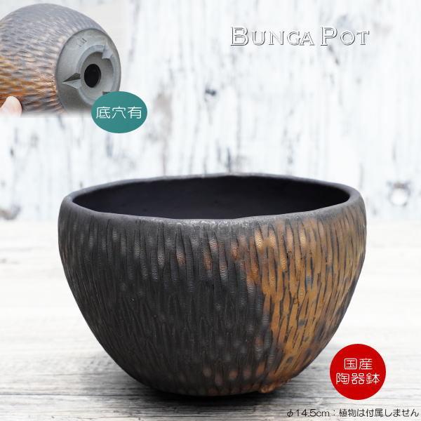 陶器鉢 植木鉢 ミニポット 底穴あり BUNGA POT カービング 金彩（大