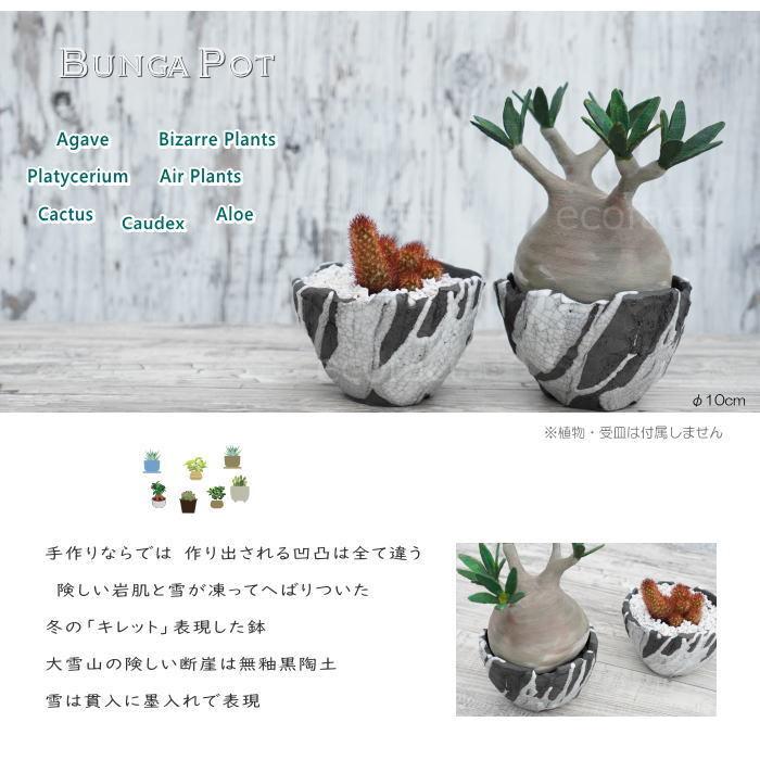 陶器鉢 植木鉢 ミニポット 底穴あり BUNGA POT キレット 貫入墨入れ