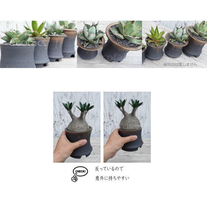 【鷲ノ巣】黒金彩　植木鉢(盆栽鉢)251004-1/1 鷲ノ巣】黒金彩 植木鉢(盆栽鉢)251004-1/1