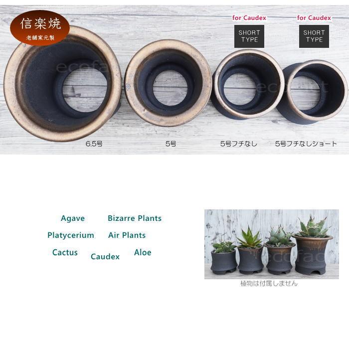 陶器鉢 植木鉢 金彩高脚 5号フチなし 底穴あり ゴールド 陶器鉢 植木鉢 金彩高脚 5号フチなし 底穴あり ゴールド