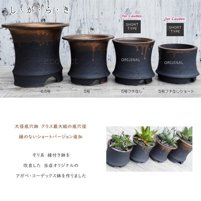 陶器鉢 植木鉢 金彩高脚 5号フチなしショート 底穴あり ゴールド 陶器鉢 植木鉢 金彩高脚 5号フチなしショート 底穴あり ゴールド