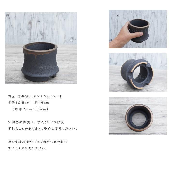 陶器鉢 植木鉢 金彩高脚 5号フチなしショート 底穴あり ゴールド 陶器鉢 植木鉢 金彩高脚 5号フチなしショート 底穴あり ゴールド