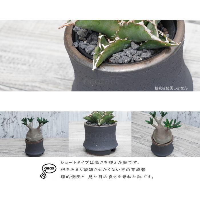 陶器鉢 植木鉢 金彩高脚 5号フチなしショート 底穴あり ゴールド 陶器鉢 植木鉢 金彩高脚 5号フチなしショート 底穴あり ゴールド