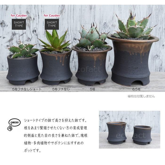 陶器鉢 植木鉢 金彩高脚 5号フチなしショート 底穴あり ゴールド 陶器鉢 植木鉢 金彩高脚 5号フチなしショート 底穴あり ゴールド
