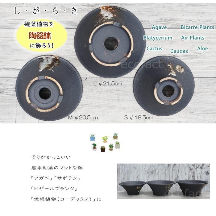 陶器鉢 植木鉢 底穴あり 艶消黒そりL ブラック おしゃれ プランター
