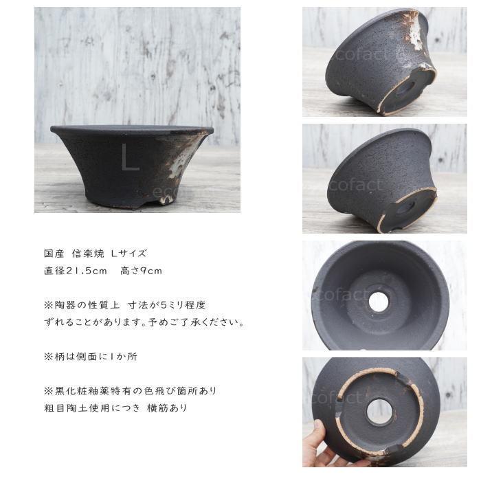 陶器鉢 植木鉢 底穴あり 艶消黒そりL ブラック おしゃれ プランター
