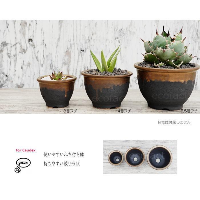 陶器鉢 植木鉢 5.5号フチ 底穴あり 金彩 ブラック 園芸鉢 信楽焼 陶器鉢 植木鉢 5.5号フチ 底穴あり 金彩 ブラック 園芸鉢 信楽焼