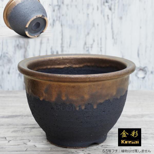 陶器鉢 植木鉢 5.5号フチ 底穴あり 金彩 ブラック 園芸鉢 信楽焼 陶器鉢 植木鉢 5.5号フチ 底穴あり 金彩 ブラック 園芸鉢 信楽焼
