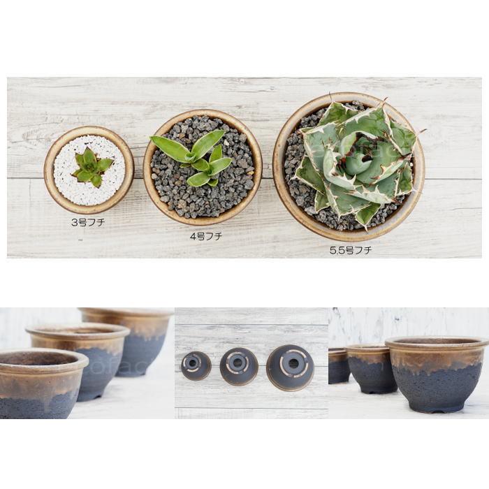 陶器鉢 植木鉢 3号フチ 底穴あり 金彩 ブラック 園芸鉢 信楽焼 かみ山