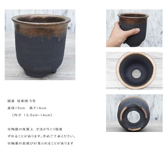 かみ山陶器 牛乳植物 陶器 鉢 植木鉢 セット売り 陶器鉢 植木鉢 5号高脚スリム 金彩 ブラック ゴールド 園芸鉢