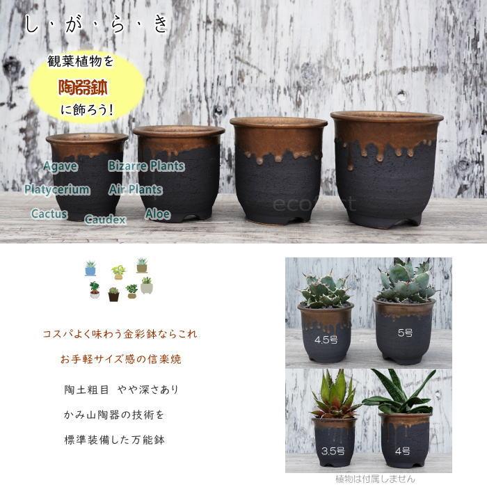 陶器鉢 植木鉢 底穴あり 金彩 4.5号 高鉢 H13cm ブラック ゴールド