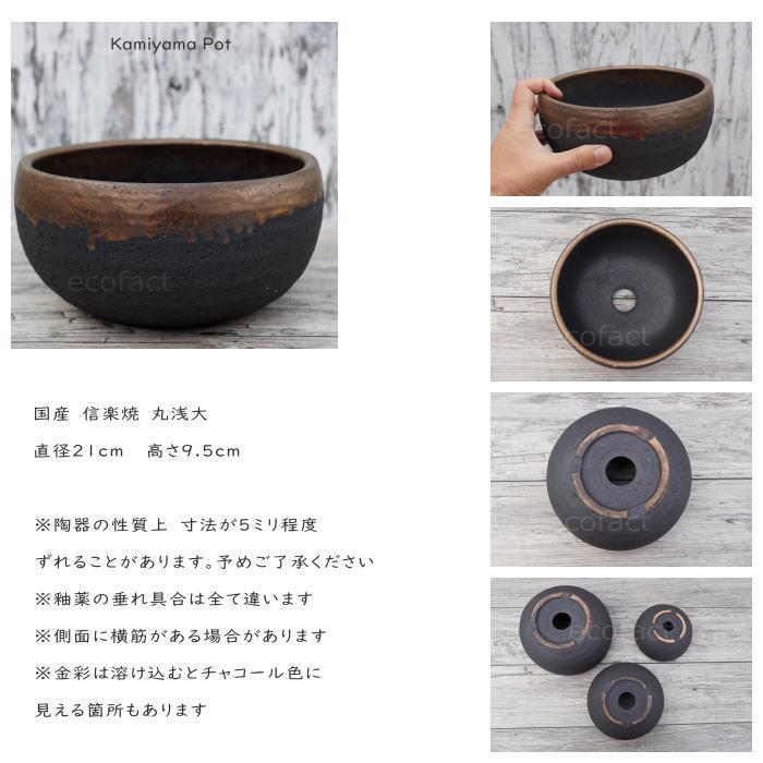 陶器鉢 植木鉢 底穴あり 丸浅（大）φ21cm 金彩 ブラック ゴールド 園芸