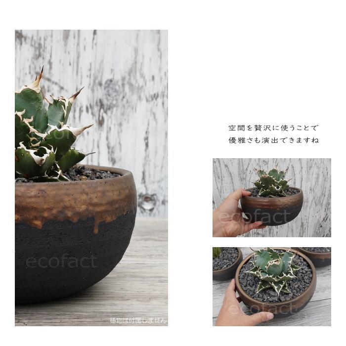 陶器鉢 植木鉢 底穴あり 丸浅（大）φ21cm 金彩 ブラック ゴールド 園芸