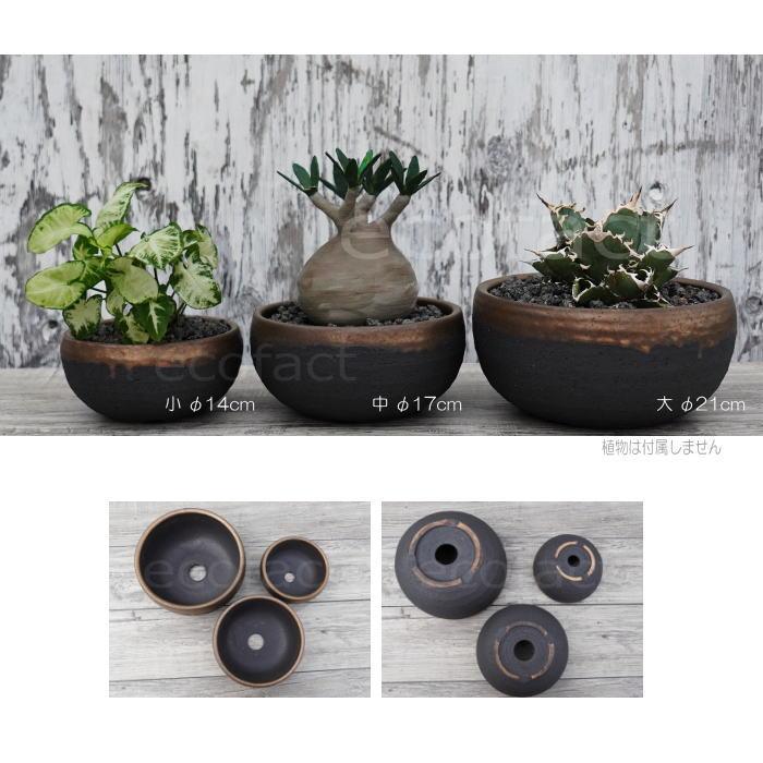 陶器鉢 植木鉢 底穴あり 丸浅（大）φ21cm 金彩 ブラック ゴールド 園芸