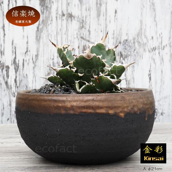陶器鉢 植木鉢 底穴あり 丸浅（大）φ21cm 金彩 ブラック ゴールド 園芸