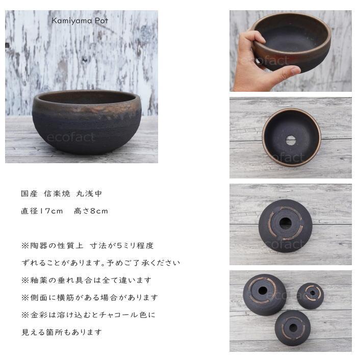 陶器鉢 植木鉢 底穴あり 丸浅（中）φ17cm 金彩 ブラック ゴールド 園芸