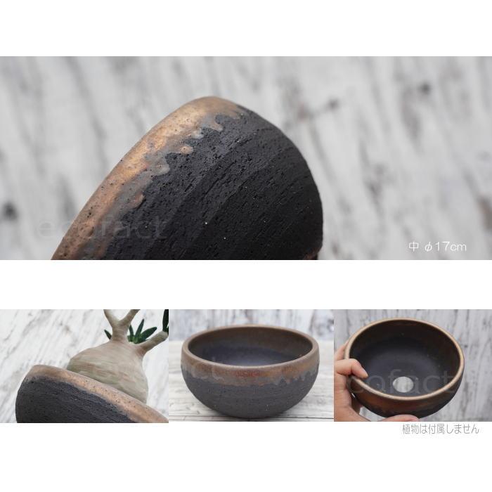 陶器鉢 植木鉢 底穴あり 丸浅（中）φ17cm 金彩 ブラック ゴールド 園芸