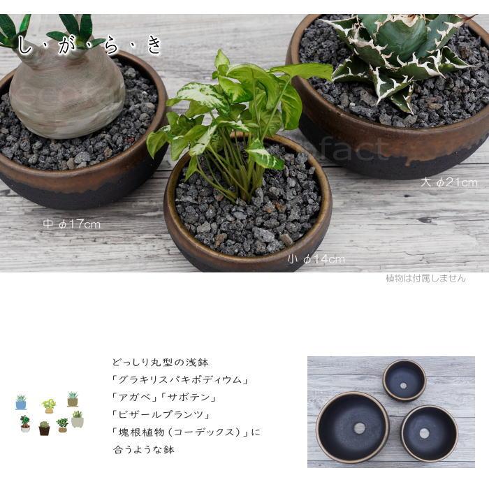 未使用品　信楽焼き　大きな　ダックスフント　器　陶器　プランター　鉢　釉薬 fit=scale-down,w=1200