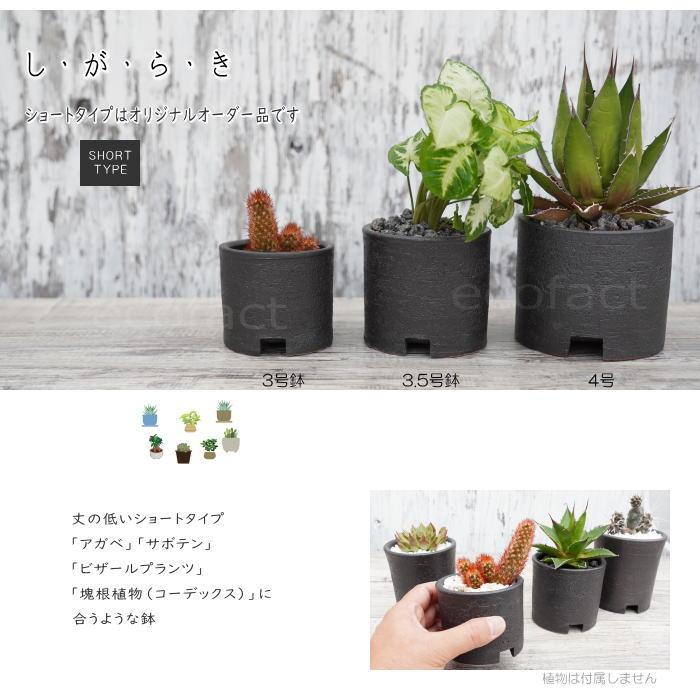 陶器鉢 植木鉢 4号ショートタイプ 筒型 ブラック おしゃれ