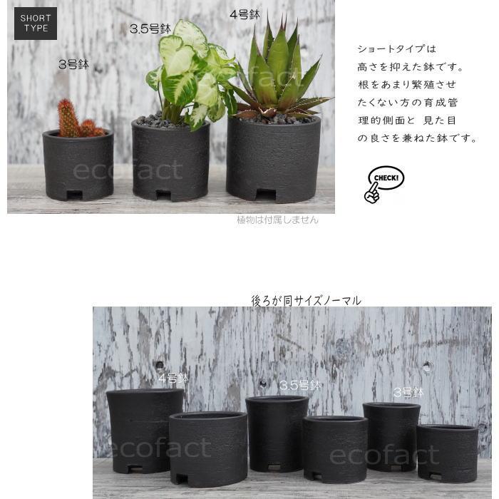 信楽焼 プランター 植木鉢 おしゃれ 人気 おすすめ プランター 信楽焼 国産品 日本