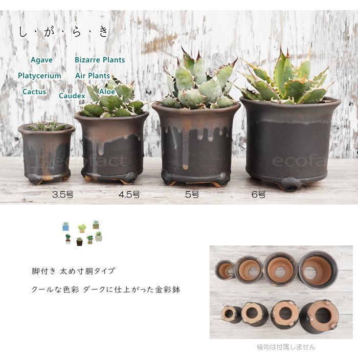 陶器鉢 植木鉢 高脚 筒型3.5号 ダークゴールド 底穴あり おしゃれ